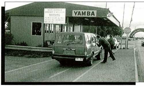 Staff at the Yamba roadblock inspected 301 926 vehicles in 1996-1997